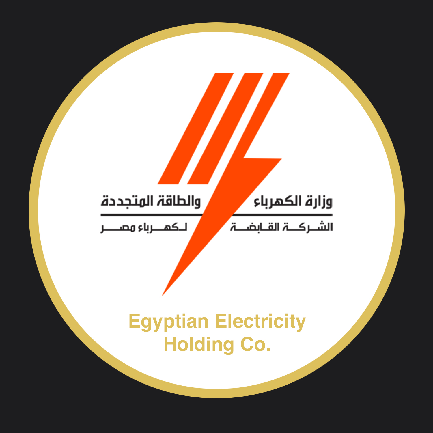 Egyptian Electricity Holding Co.